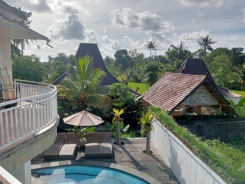 Terrasse et piscine de la Maison Blanche, Pariliana