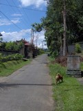 Rue du village de Bangkiang Sidem (Tegallalang), Ubud, Bali