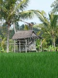 Abri dans les rizières, Bangkiang Sidem, Bali