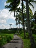 De Bangkiang Sidem à Ubud, Bali